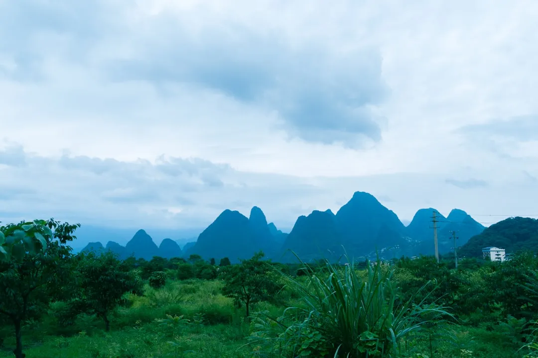 东莞寮步莞大门诊部内科外科与中医科综合诊疗服务对比分析