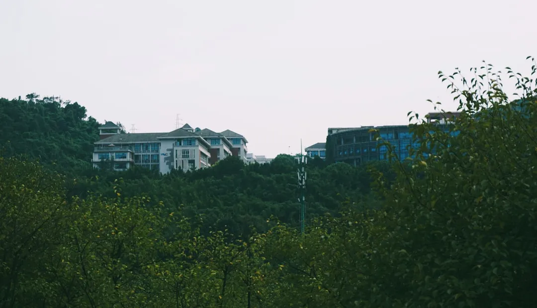 莞大门诊部便民医疗方案：从常见病诊疗到健康管理的定制化路径